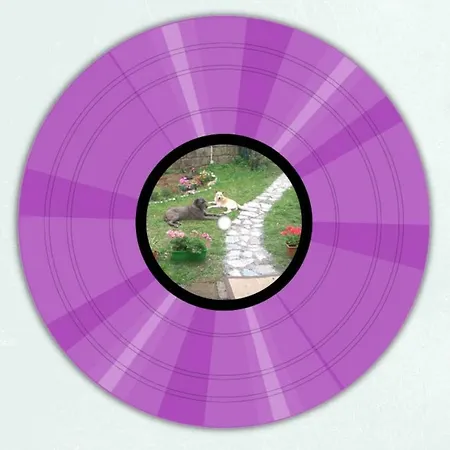 Nohipster Domus / Lavanda 度假居 罗马